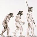 eine bildliche Darstellung der Evolution vom Affen bis hin zum heutigen Menschen