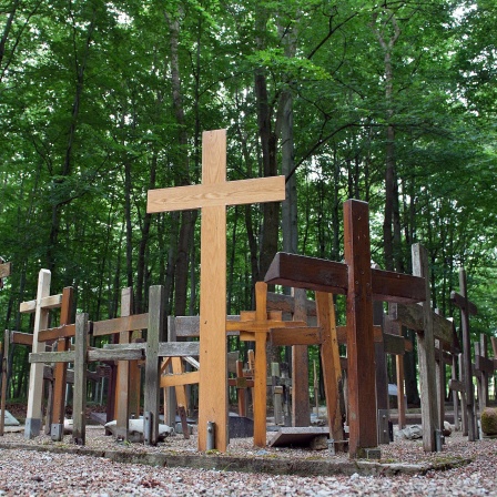 Holzkreuze stehen auf dem Areal des ehemaligen sowjetischen Speziallagers Nr. 2 in Buchenwald