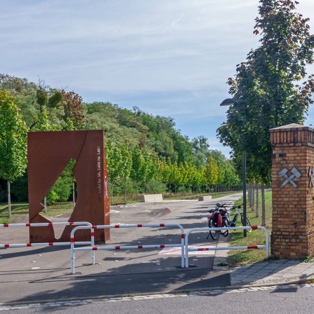 Alter Flughafen Welzow
