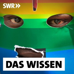 Ein kenianischer Unterstützer der LGBT-Gemeinschaft ist mit einer Regenbogenflagge maskiert und protestiert 2014 gegen Ugandas Anti-Homosexuellen-Gesetz vor dem ugandischen Hochkommissariat in Nairobi, Kenia. Über die Hälfte der afrikanischen Staaten verbietet Homosexualität, in Uganda kann sie sogar mit dem Tod bestraft werden.