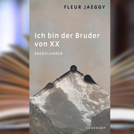 Buchcover: "Ich bin der Bruder von XX" von Fleur Jaeggy