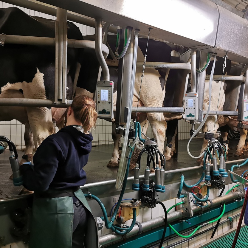 Cover: Lernen und Arbeiten im Hofgut Neumühle