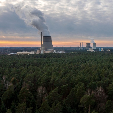 Das Atomkraftwerk Emslandmitten im Waldgebiet mit rauchendem Schornstein. 