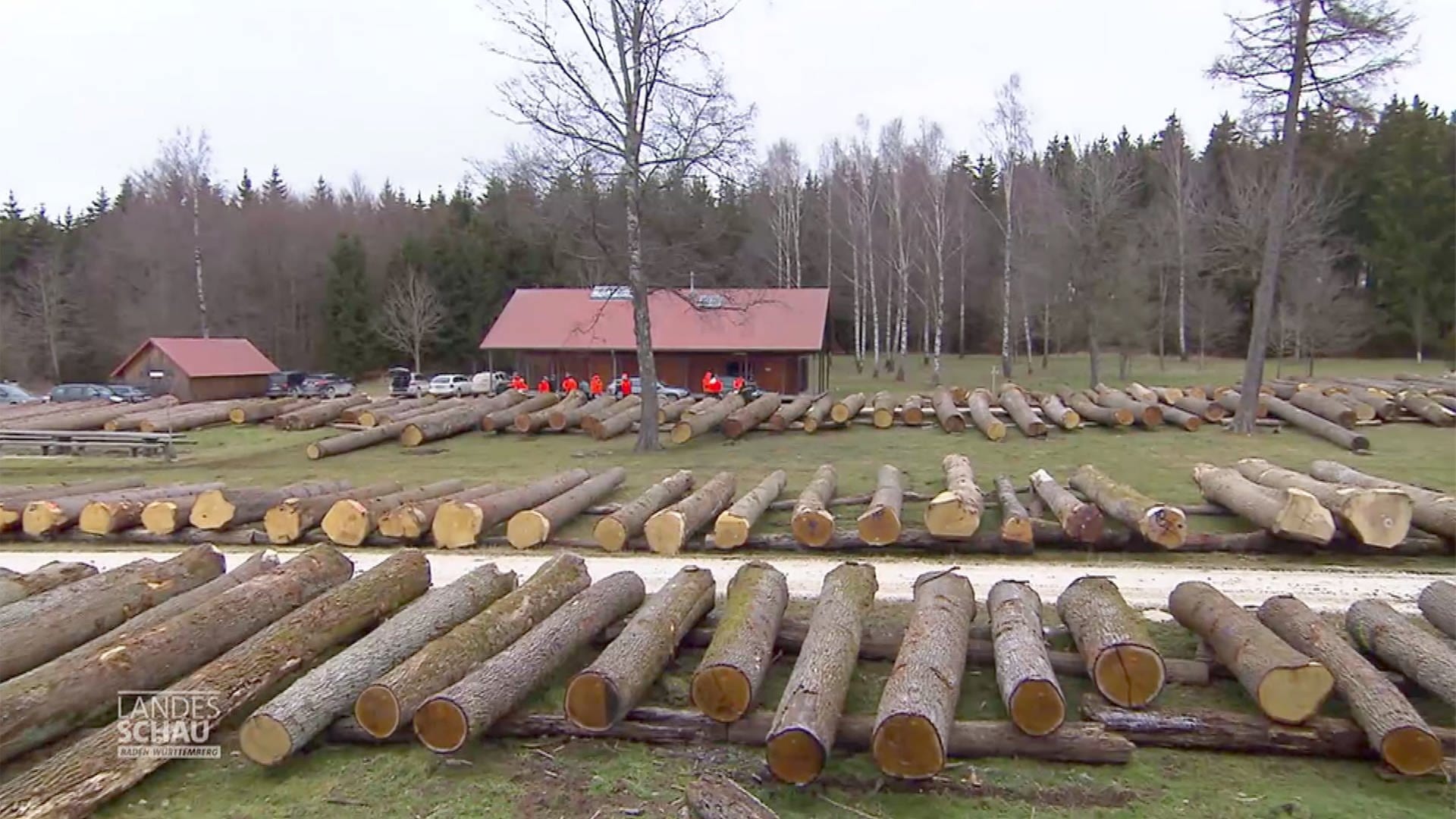 Landesschau Baden-Württemberg: Eine Woche in Bopfingen: Edle Hölzer, hohe Preise | ARD Mediathek