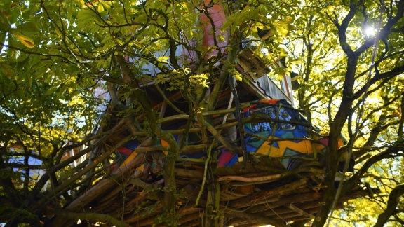 Die Maus - Mein Zuhause Ist Anders – Jolandas Baumhaus