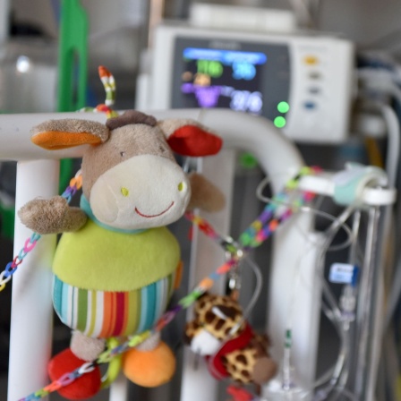 Ein Kuscheltier hängt an einem Kinderbett in einem Krankenhaus