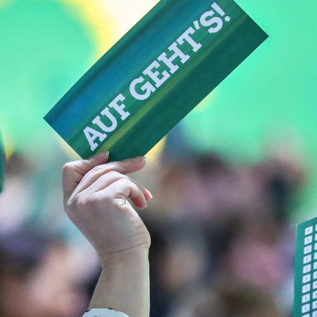 Teilnehmer der Bundesdelegiertenkonferenz von Bündnis 90/Die Grünen stimmen 2018 mit ihren Stimmkarten ab.