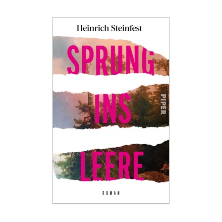 Cover des Buches Heinrich Steinfest: Sprung ins Leere