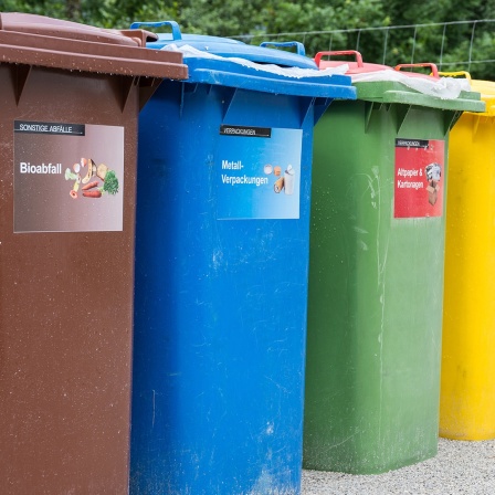 Verschiedene Mülltonnen stehen an der Straße.