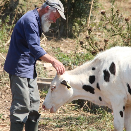 Früher hielt Bauer Zheko Kühe nur für den Eigenbedarf. Dank der EU-Gelder konnte er seinen seinen Bestand aufgestocken und beliefert nun die umliegenden Dörfer mit Milch.
