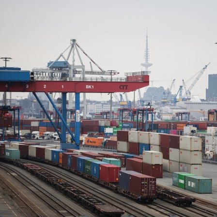 Container werden auf dem Terminal Tollerort der Hamburger Hafen umgeschlagen. 