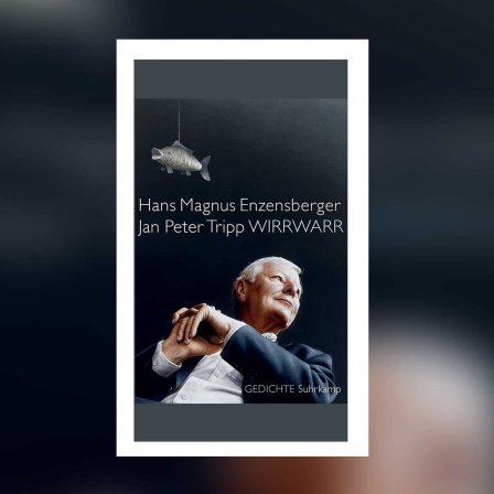 Hans Magnus Enzensberger, Jan Peter Tripp: Wirrwarr
