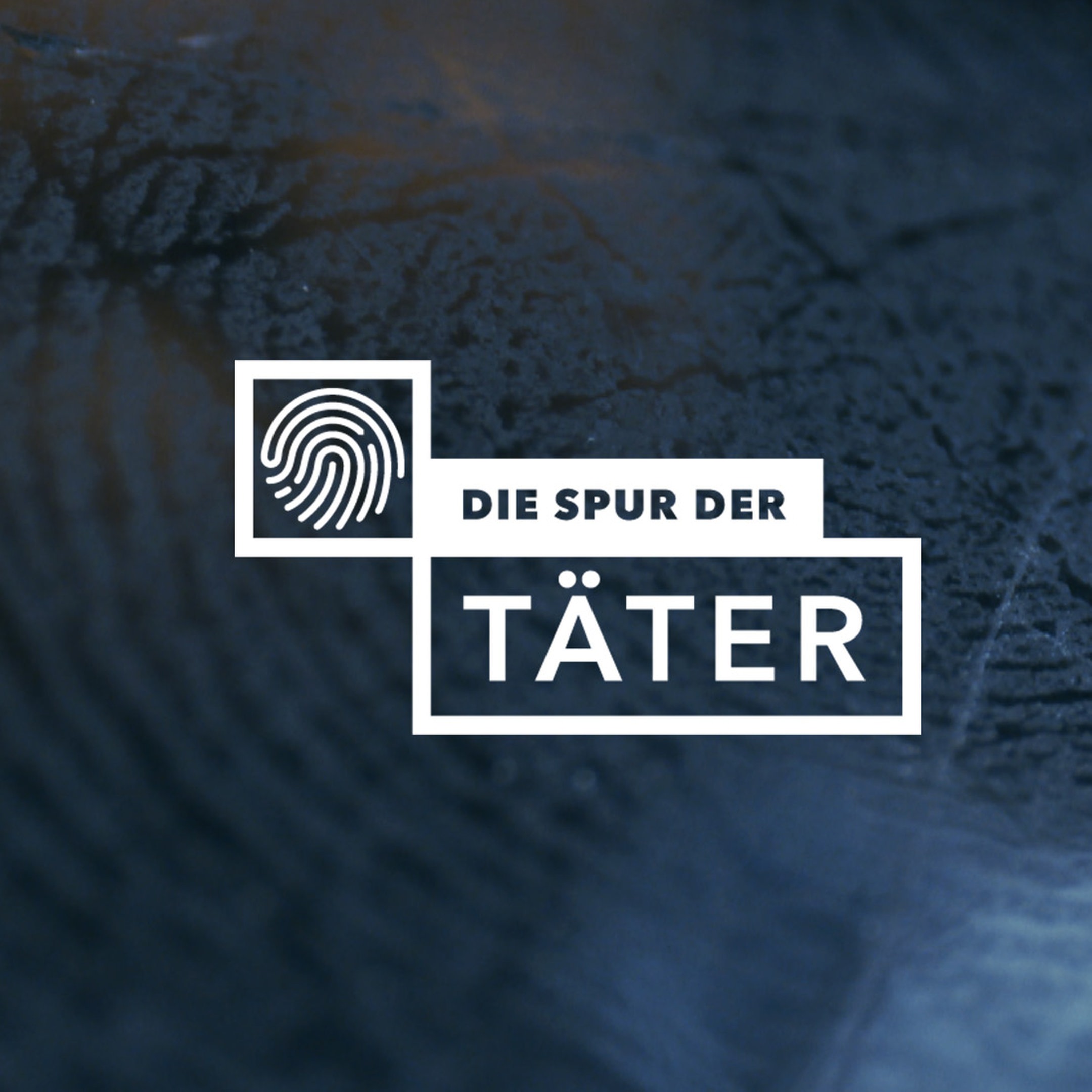 ARD Crime Time – Der True Crime Podcast · Die Spur Der Täter | Yolanda ...