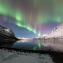 Vesteralen, Spitzbergen, Nordlicht - Reisegeschichten über Norwegen