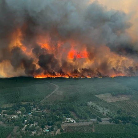 Waldbrände in Südfrankreich, südlich von Bordeaux.