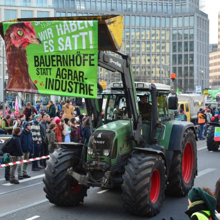 Demonstration gegen die Agrarindustrie unter dem Motto &#034;Wochenmarkt statt Weltmarkt&#034; - Gesundes Essen und gesunde Landwirtschaft-Bauernhöfe statt Agrarindustrie.