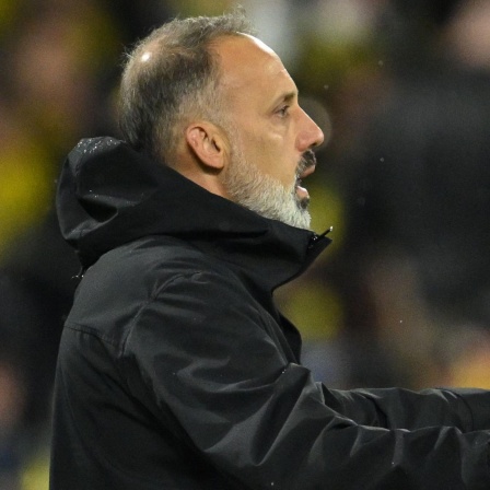 Hoffenheim-Trainer Pellegrino Matarazzo