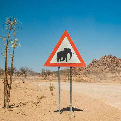 Ein Straßenschild in Namibia warnt vor Elefanten (Foto: imago images / Design Pics)