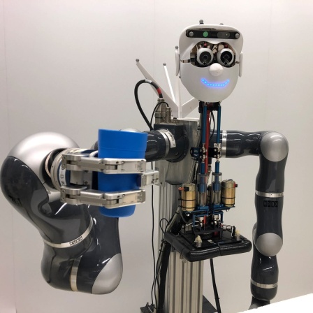 Künstliche Intelligenz, Roboter
