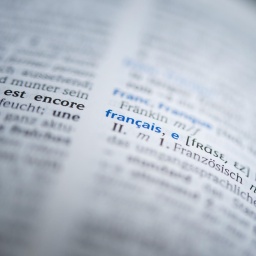 Französisch für Renaissancemenschen: Fremdsprachenunterricht in der Frühen Neuzeit