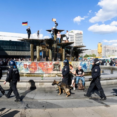 Vor dem Brunnen auf dem Alexanderplatz in Berlin gehen Polizisten. Dahinter haben Demonstranten den Brunnen bestiegen.