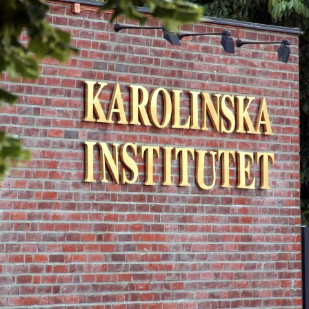 Kaputter Gefrierschrank am Karolinska-Institut, Wenig Organspende in Deutschland