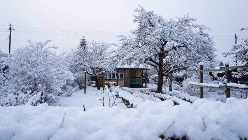 Bild: Radio Bremen | J&ouml;rn H&uuml;ttmann