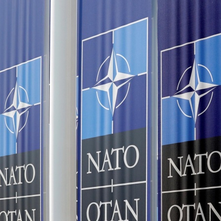 Die Kontaktgruppe der NATO berät in Brüssel über weitere militärische Hilfen für die Ukraine
