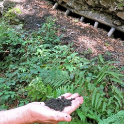 Eine Hand hält im Wald Erde. 