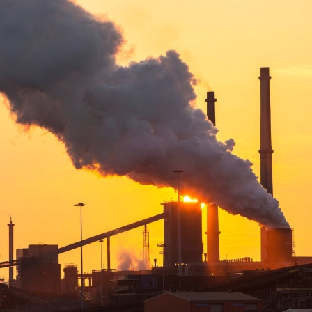 Bei der Stahlproduktion werden Unmengen von Treibhausgasen freigesetzt