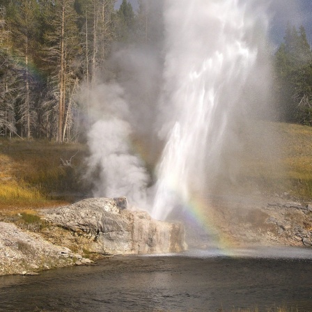 Brodelndes Wasser und heiße Dämpfe: Die Geysire im Yellowstone Nationalpark in Wyoming bieten ein faszinierendes Naturschauspiel. Allerdings erinnern sie auch daran, was unter dem Gebiet schlummert: Ein sehr großer Vulkan, den manche auch als Yellowstone-Supervulkan bezeichnen.
