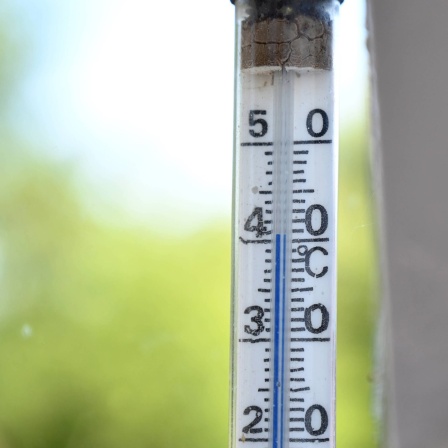 Thermometer zeigt 40°C - Hitzesommer sorgen zunehmend für gesundheitliche Probleme