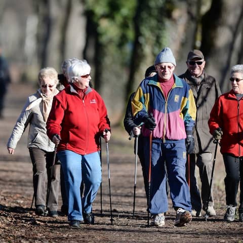Eine Gruppe Senioren beim Nordic Walking im Wald