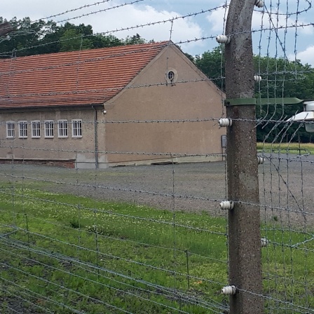 Lagerzaun des ehemaligen Konzentrationslagers.