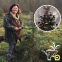 Collage: Försterin Uta Krispin mit Fichte/ geschmückter Weihnachtsbaum
