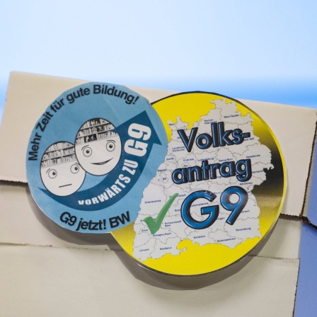 Ein Karton, in dem sich Unterschriftenlisten der Elternintiative "G9 Jetzt! BW" befinden, steht auf einem Tisch.
