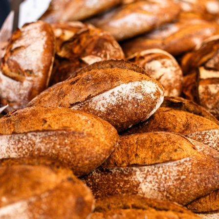 Gesundheit von Jugendlichen, Zusatzstoffe im Brot