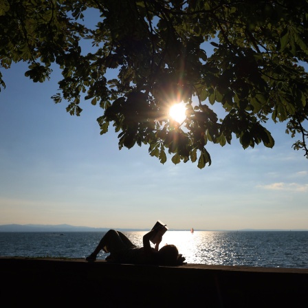 Eine Frau liest an der Uferpromenade des im Sonnenschein glitzernden Bodensees ein Buch.