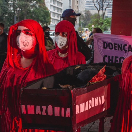 Demonstranten versammelten sich im September 2021 in São Paulo und forderten den Rücktritt von Präsident Jair Bolsonaro sowie die Konzentration auf Klimafragen und Umweltschutz. Die Menschen tragen einen Sarg mit Asche als Symbol für die Brände im Amazonas.