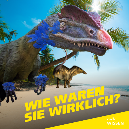 Dinosaurier vor einer urzeitlichen Küstenlandschaft. Text: Wie waren sie wirklich?