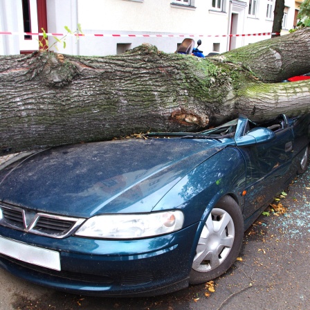 Ein Baum ist nach Sturm in Berlin auf ein Auto gefallen