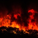 Einzelne Bäume ragen wie Scheerenschnitte vor einer hohe Wand aus Flammen hervor in einem Waldgebiet in Portugal.
