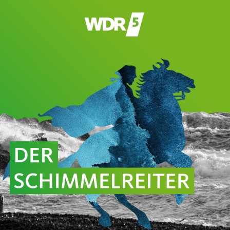 Stilisierter Reiter vor einem Wellen-Hintergrund