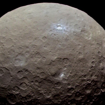 Von Pallas gibt es nur recht unscharfe Aufnahmen, dagegen hatte der größte Asteroid Ceres (hier im Bild) bereits Besuch der Raumsonde Dawn. Pallas sieht wohl recht ähnlich aus. 
