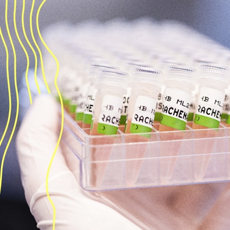 Eine Mitarbeiterin am Landesgesundheitsamt Niedersachsen hält eine Box mit Rachenabstrichen für PCR-Tests.
