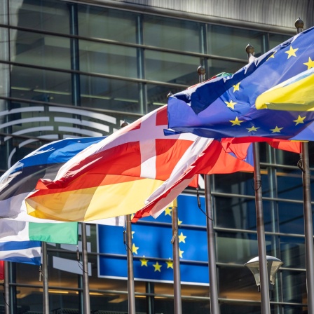 Die Flaggen der europäischen Mitgliedsstaaten wehen vor dem Gebäude des Europäischen Parlaments in Brüssel.