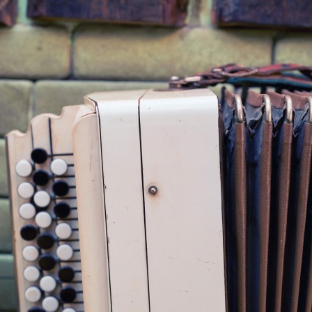 Nahaufnahme des alten russischen traditionellen Musikinstruments Bajan