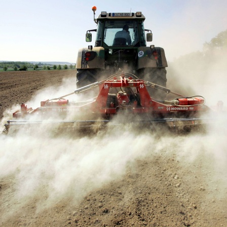 Traktor pflügt ein trockenes Acker bei Ostfildern-Neuhausen.