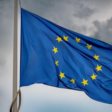 Eine Flagge der EU mit den 12 gelben Sternen auf blauem Hintergrund weht vor einem grau bewölkten Himmel.