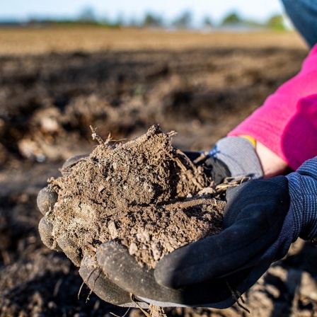 Eine Landwirtin nimmt ein Stück trockene Erde in die Hände.